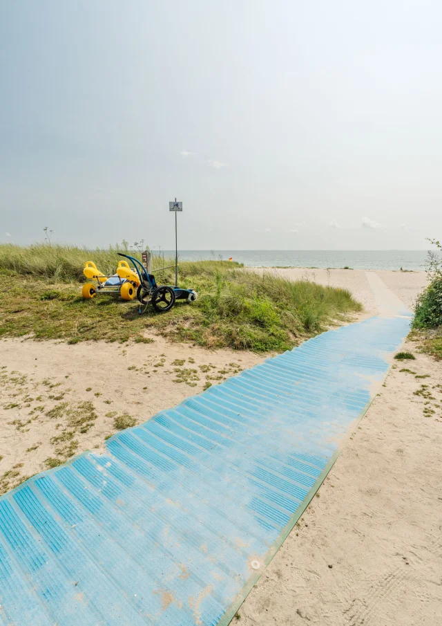 Photographe - vidéaste