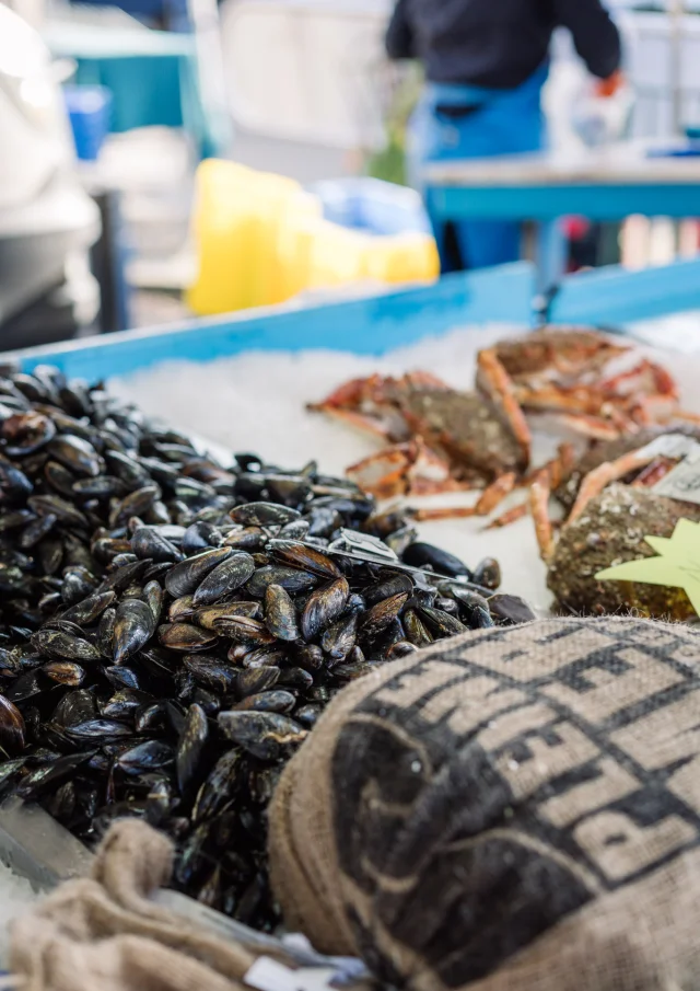 Photographe - vidéaste