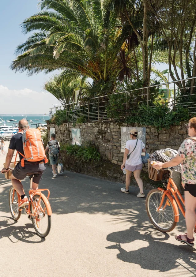 Photographe - vidéaste