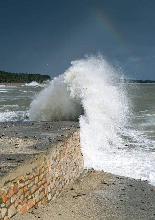 2025 0128 Bretagne Finistere Fouesnant Mousterlin Dsc03790 Rle