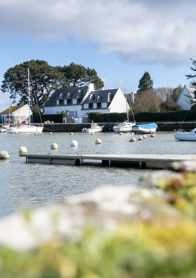 2025 0225 Bretagne Finistere Capcoz Earth Dsc01703 Mri Min