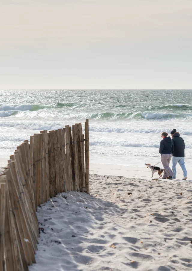 2025 0320 Bretagne Finistere Fouesnant Dsc07567 Rle