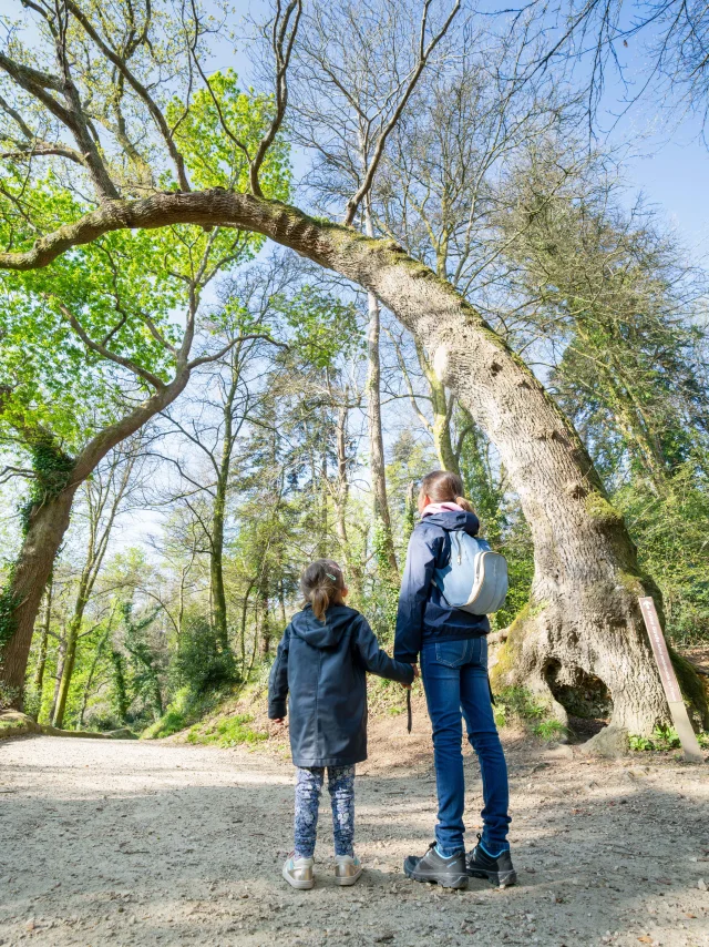 2025 0410 Bretagne Finistere Fouesnant Earth Dsc09792 Rle 1 Min