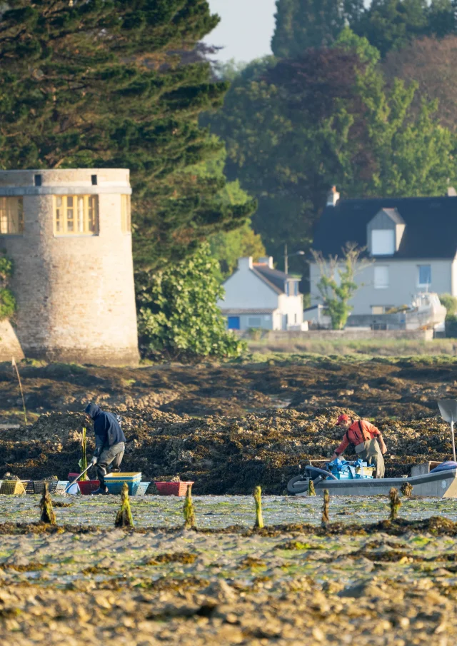 2025 0522 Bretagne Finistere Fouesnant Dsc06821 Rle Min