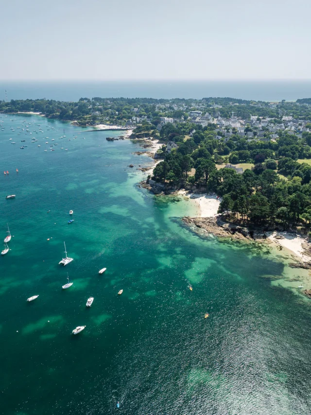 Fotograf - Videokünstler