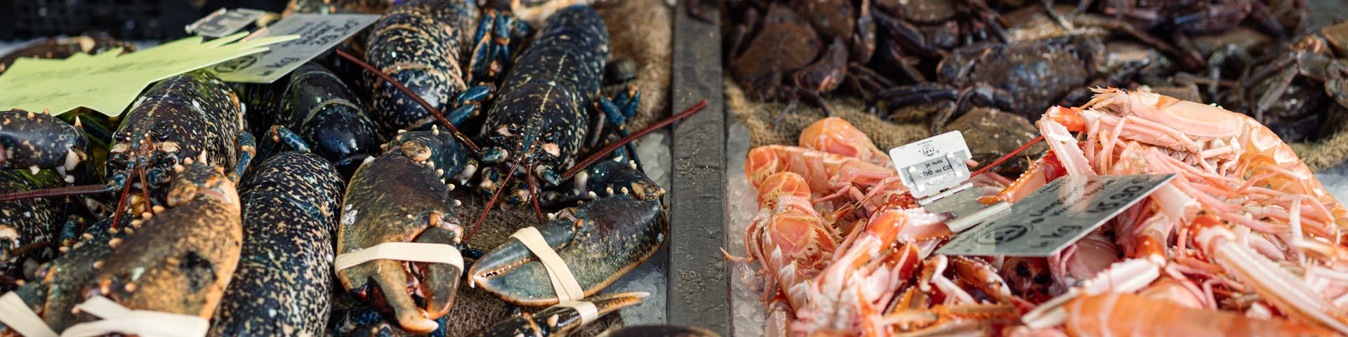 Photographe - vidéaste