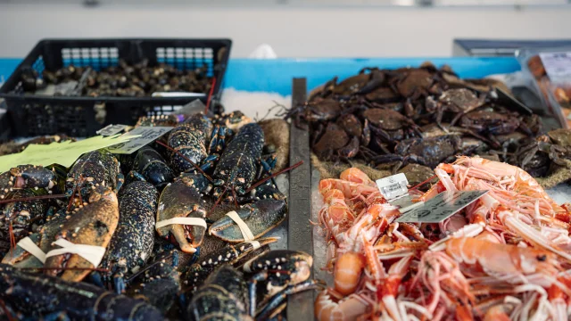 Photographe - vidéaste