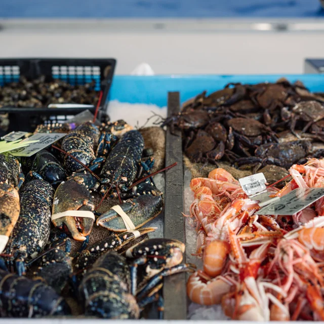 Photographe - vidéaste