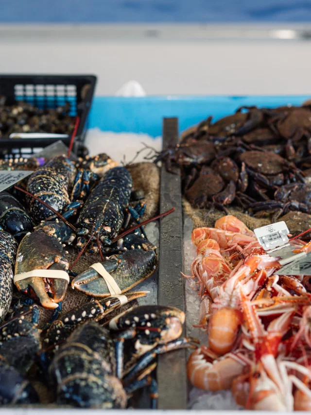 Photographe - vidéaste