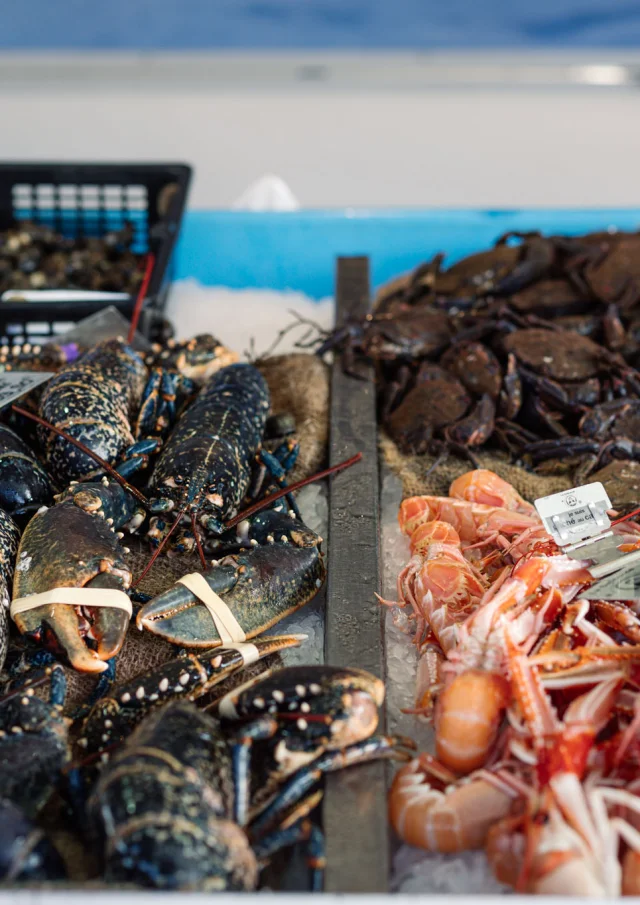 Photographe - vidéaste