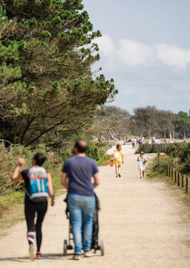 Photographe - vidéaste