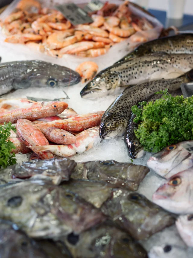 Photographe - vidéaste