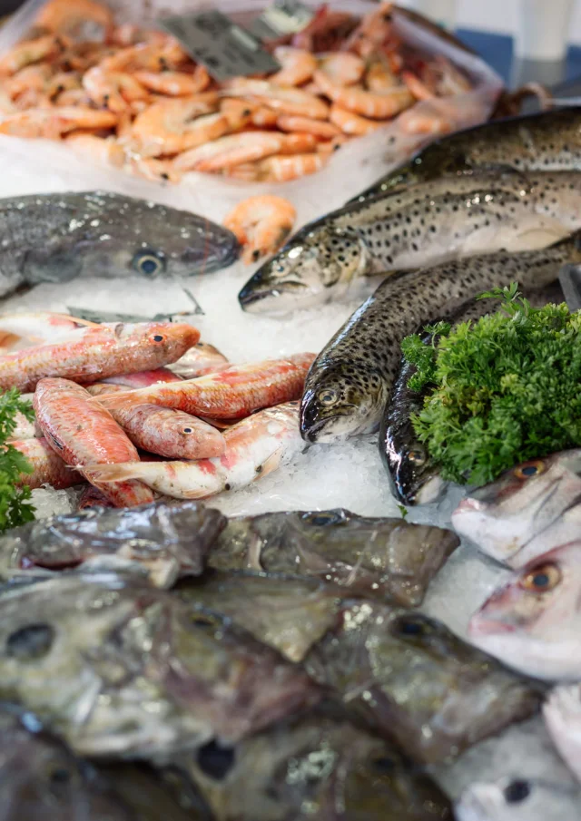 Photographe - vidéaste