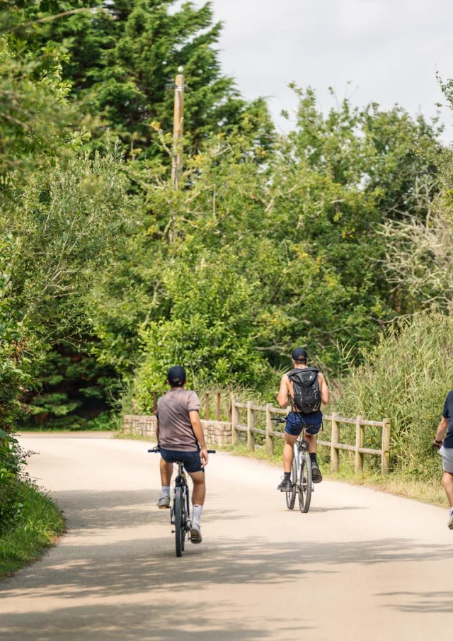 Photographe - vidéaste