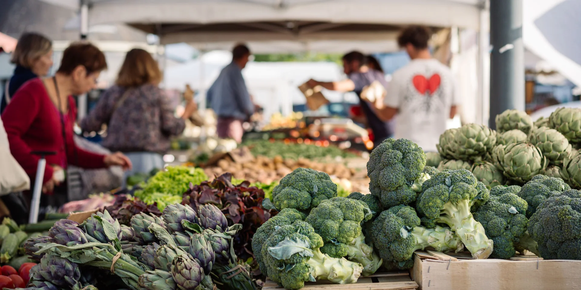 Photographe - vidéaste