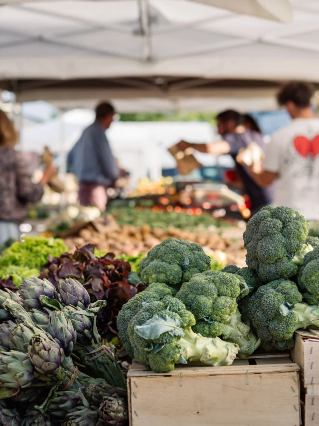 Photographe - vidéaste