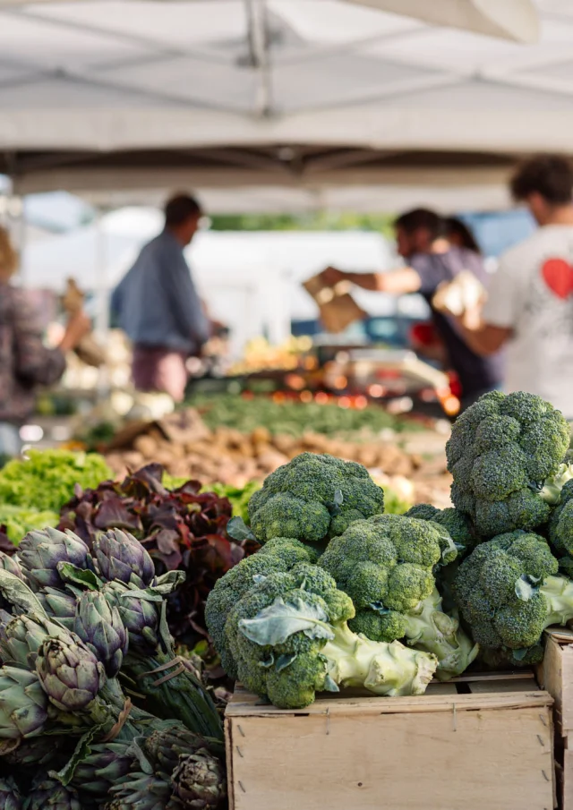 Photographe - vidéaste