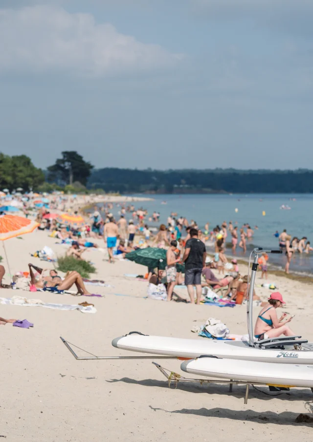 Photographe - vidéaste