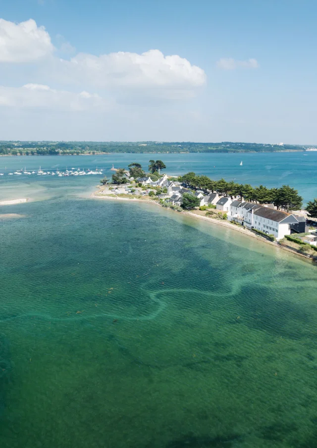 Photographe - vidéaste