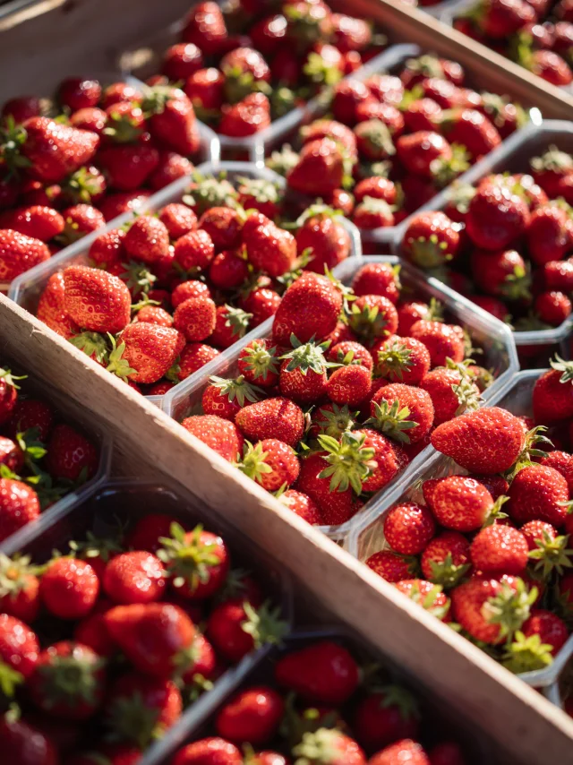 Photographe - vidéaste