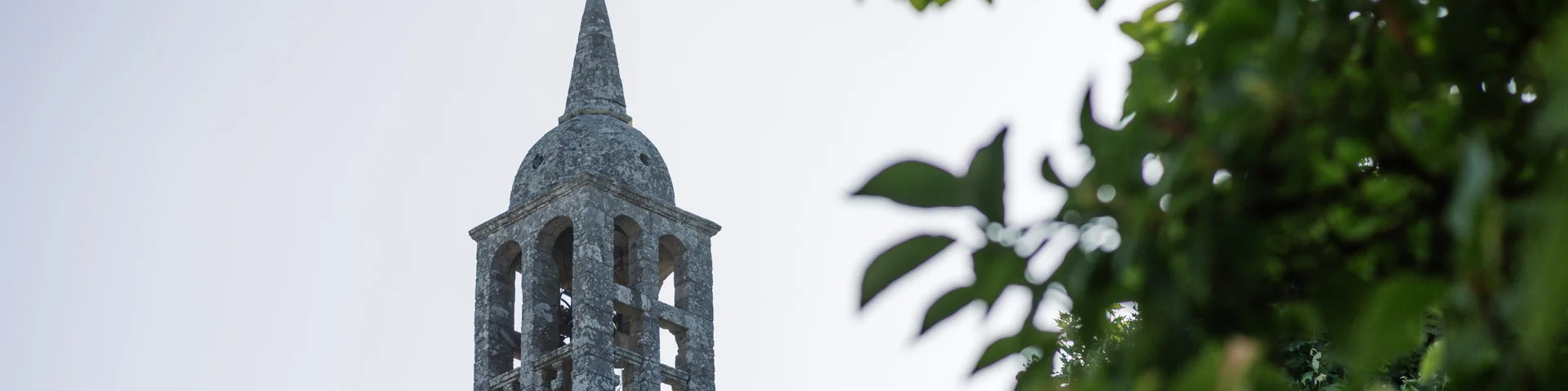 Fotograaf - videograaf