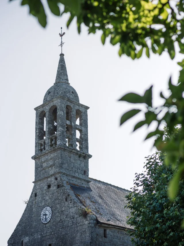 Fotograf - Videokünstler
