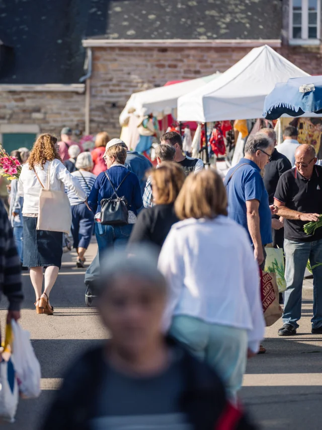 Photographe - vidéaste