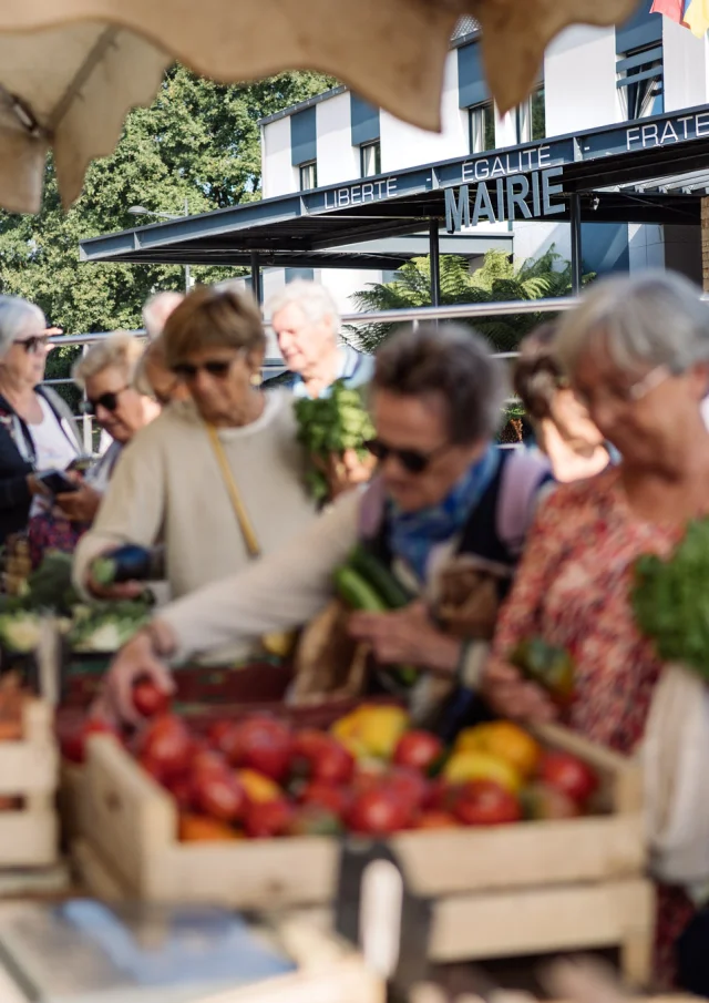 Photographe - vidéaste