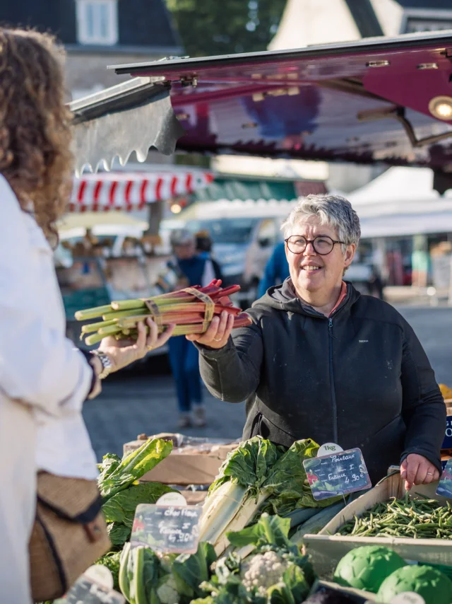 Photographe - vidéaste