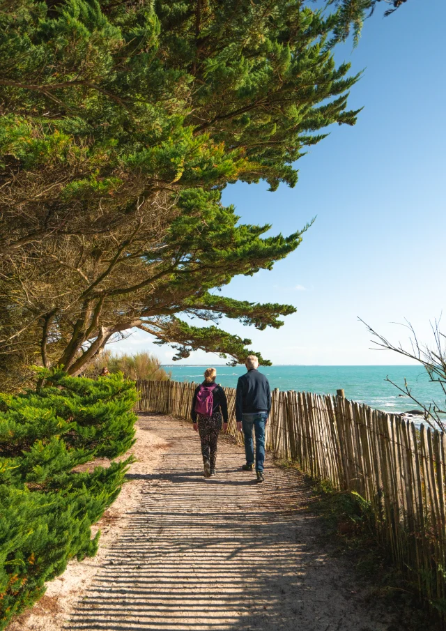 66 La Riviera Bretonne Novembre 2023 Hd