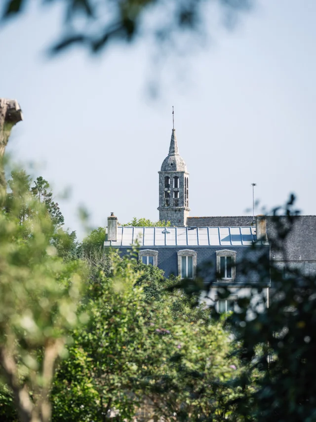 Photographe - vidéaste