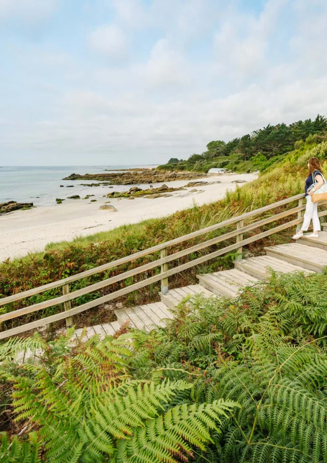 Photographe - vidéaste