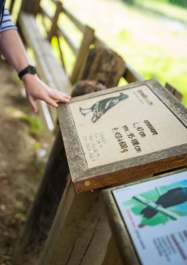Anse De Penfoulicd.herbreteau 09247 1