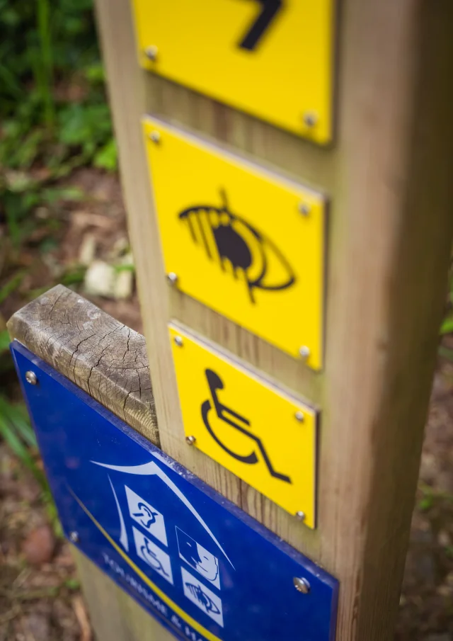 Anse De Penfoulicd.herbreteau 09256
