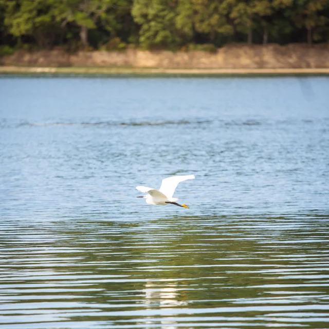 Anse De Penfoulicd.herbreteau 09312