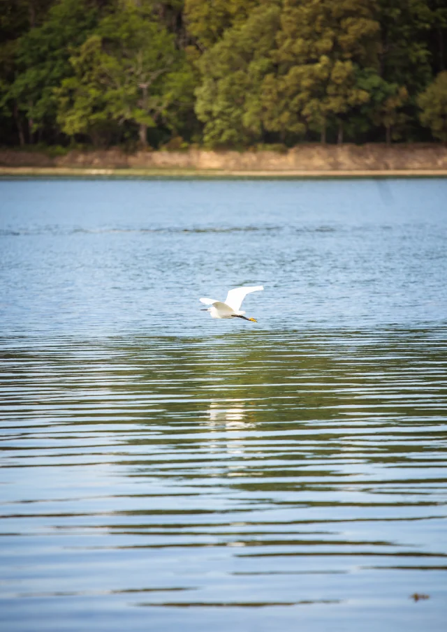 Anse De Penfoulicd.herbreteau 09312