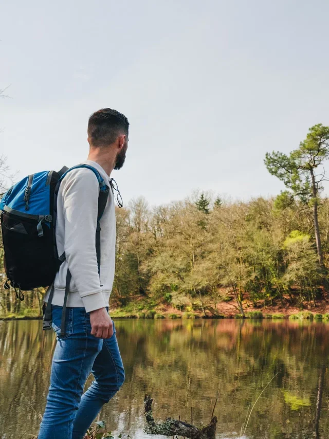 Balade Dans Le Bois Du Moustoir A Saint Evarzec 1 640x854 Crop 1751296390