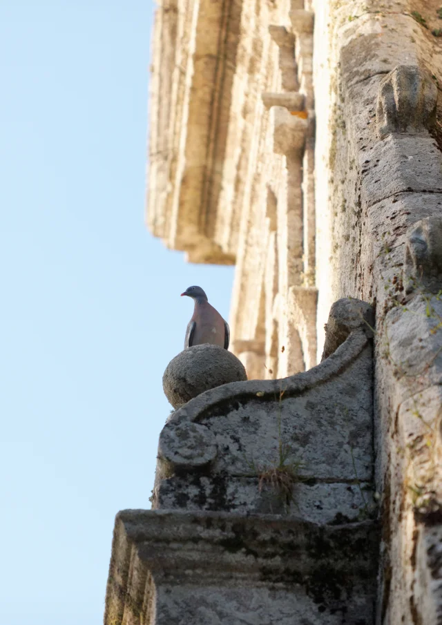 Chapelle Ste Anne Img 3365 Dxo