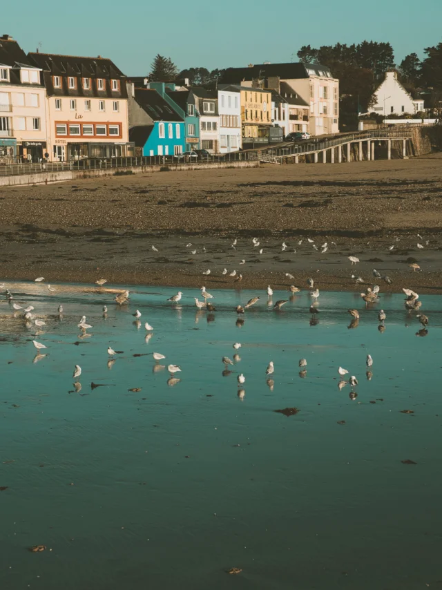 Crozon Phil Bucher Crtb