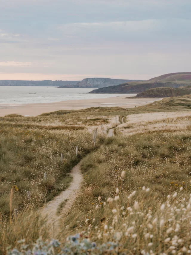 Plage - Presqu'ile de Crozon