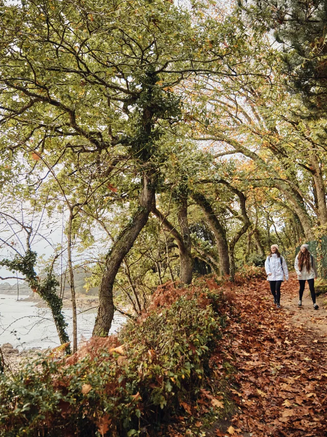 Flg Oct22@alamoureux D6a7641