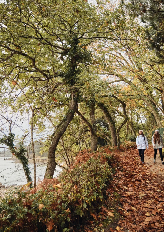 Flg Oct22@alamoureux D6a7641