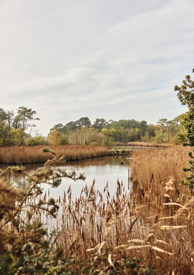 Flg Oct22@alamoureux D6a8752