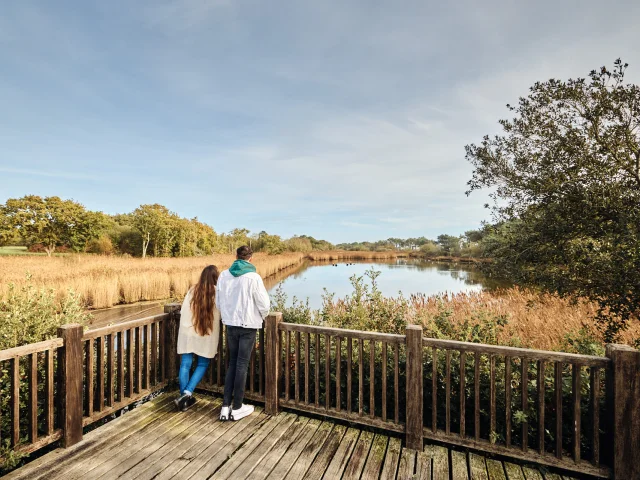 Flg Oct22@alamoureux D6a8762