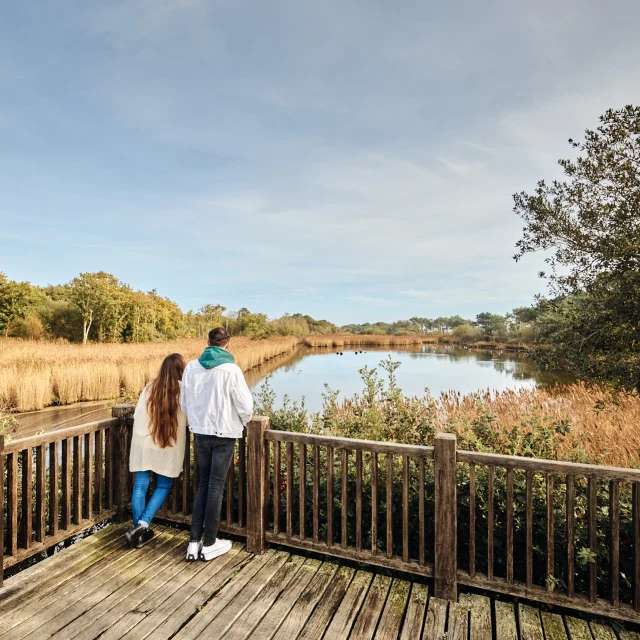 Flg Oct22@alamoureux D6a8762