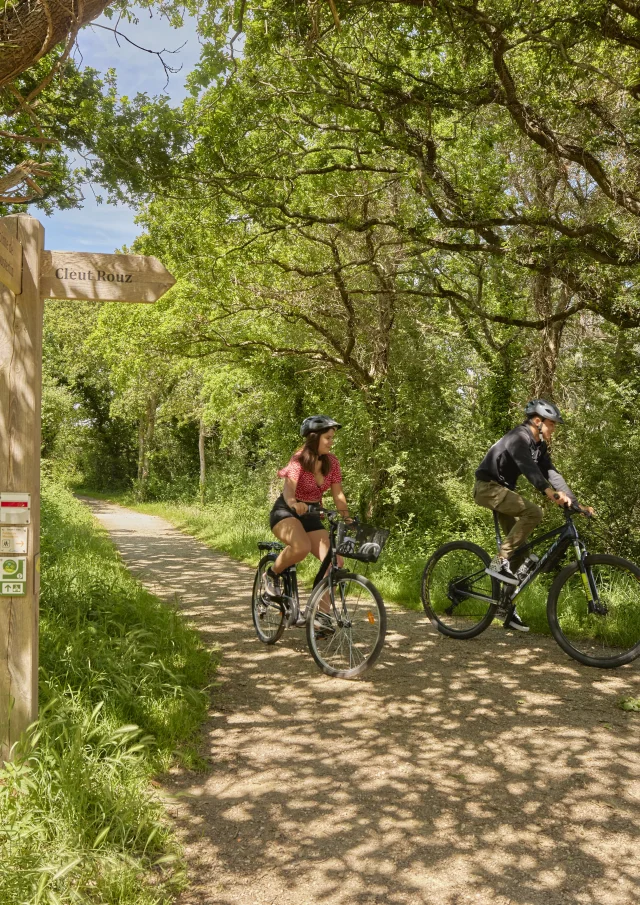 Flg21alamoureux D6a6006