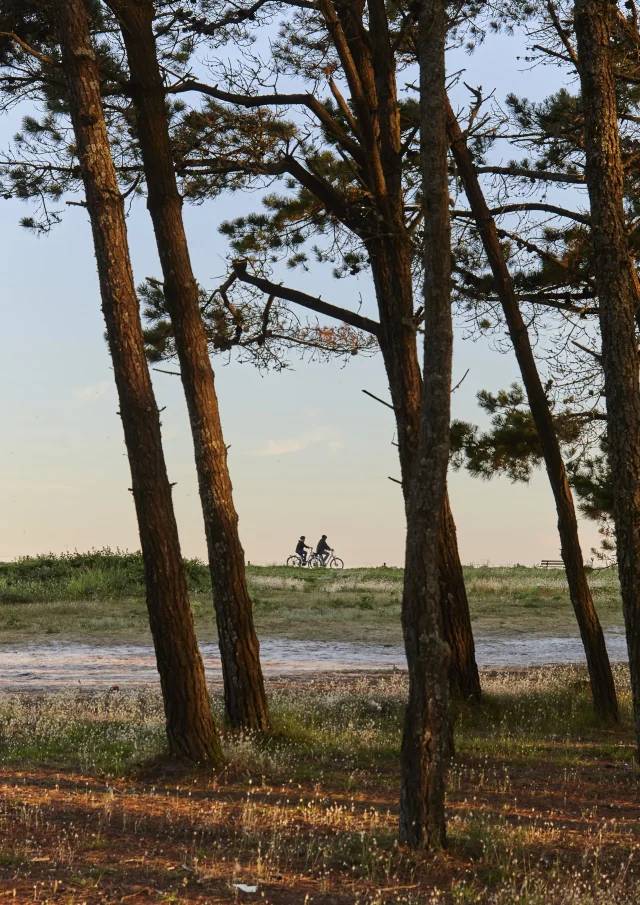 Flg21alamoureux D6a6923