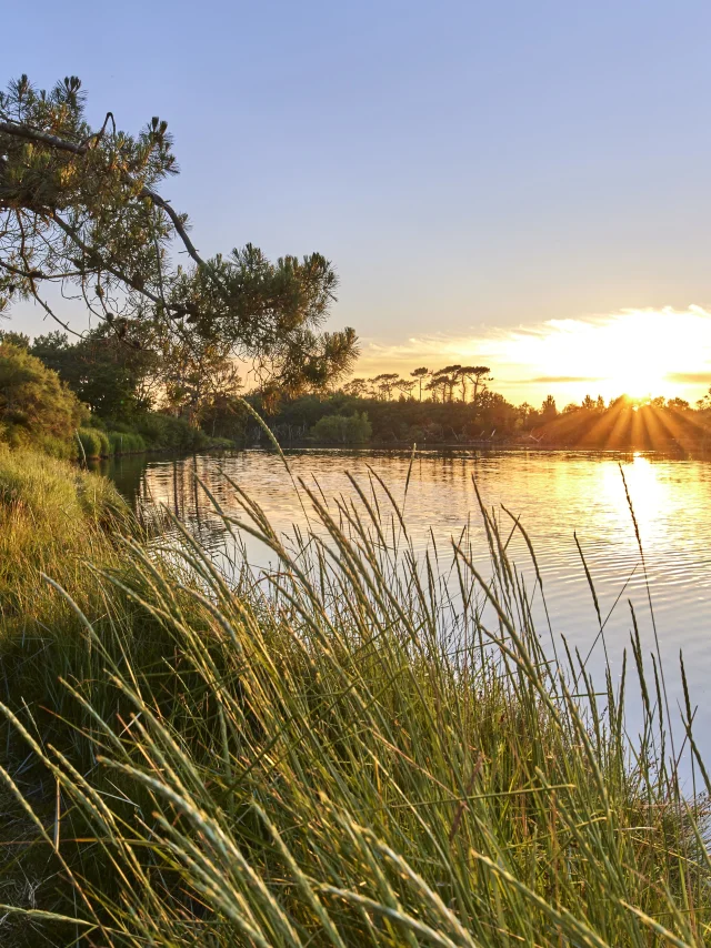 Flg21alamoureux D6a6979 1