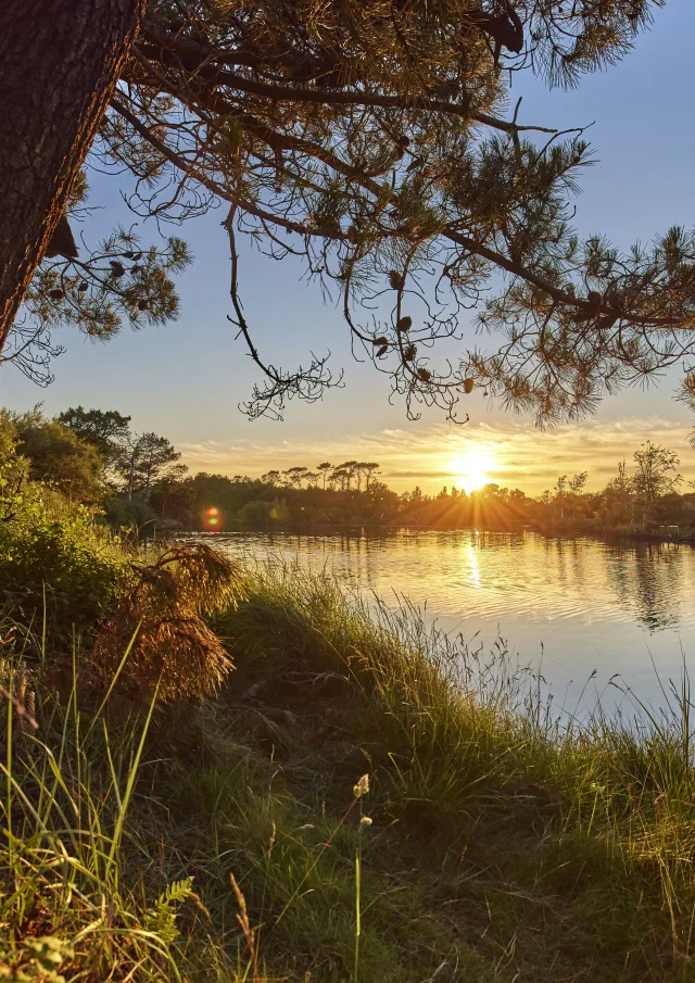 Flg21alamoureux D6a6994