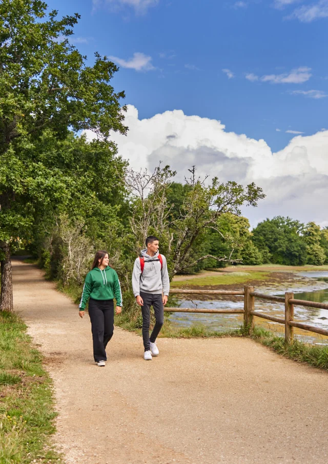 Flg22@alamoureux D6a0010 1